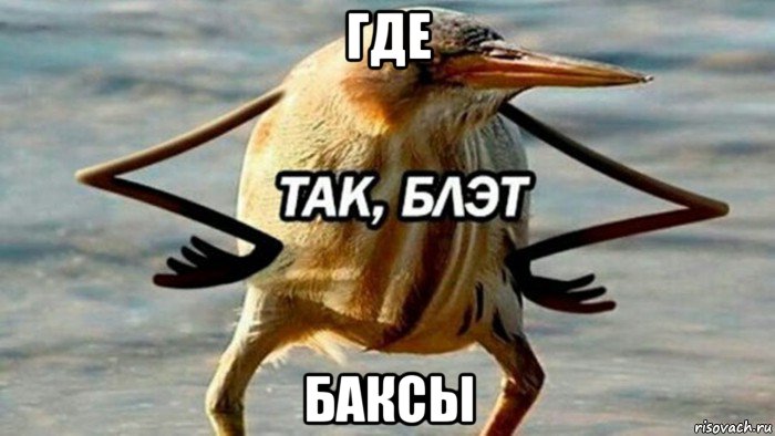 где баксы, Мем  Так блэт