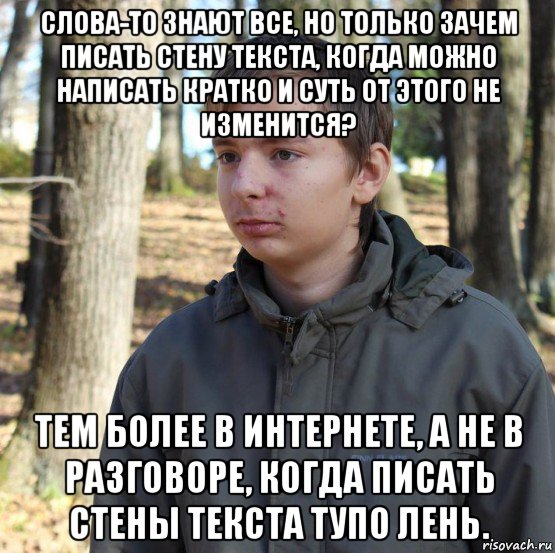 слова-то знают все, но только зачем писать стену текста, когда можно написать кратко и суть от этого не изменится? тем более в интернете, а не в разговоре, когда писать стены текста тупо лень., Мем  Типичный двачер