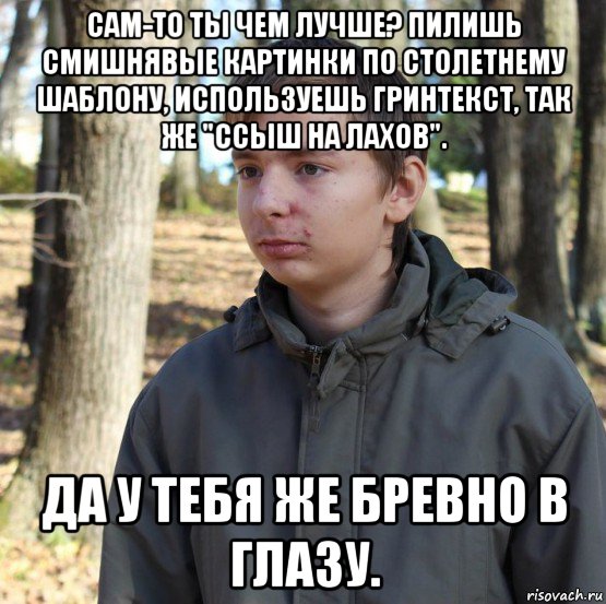 сам-то ты чем лучше? пилишь смишнявые картинки по столетнему шаблону, используешь гринтекст, так же "ссыш на лахов". да у тебя же бревно в глазу., Мем  Типичный двачер