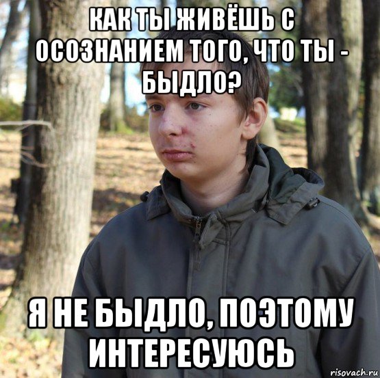 как ты живёшь с осознанием того, что ты - быдло? я не быдло, поэтому интересуюсь