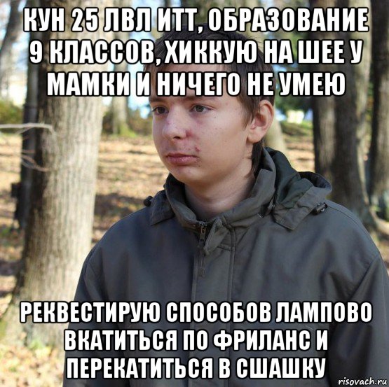 кун 25 лвл итт, образование 9 классов, хиккую на шее у мамки и ничего не умею реквестирую способов лампово вкатиться по фриланс и перекатиться в сшашку