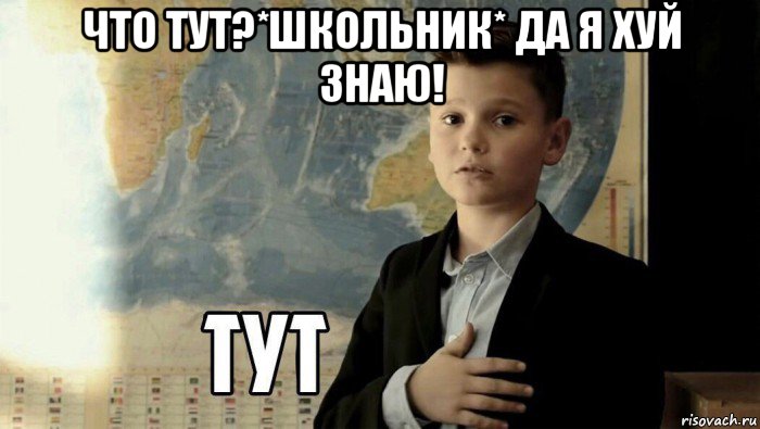 что тут?*школьник* да я хуй знаю! , Мем Тут (школьник)