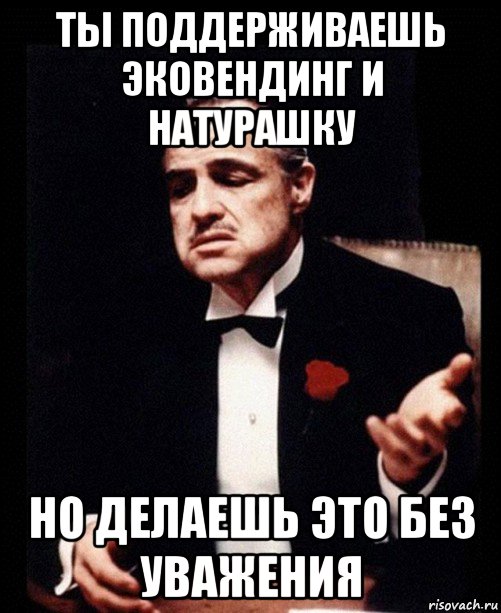 ты поддерживаешь эковендинг и натурашку но делаешь это без уважения, Мем ты делаешь это без уважения