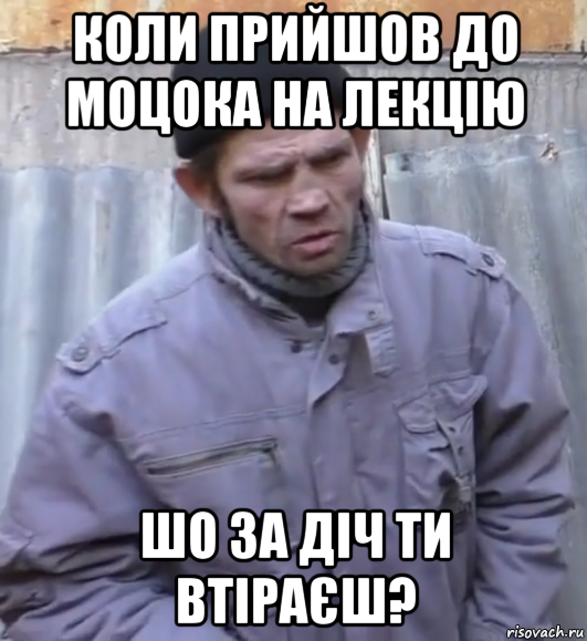 коли прийшов до моцока на лекцію шо за діч ти втіраєш?, Мем  Ты втираешь мне какую то дичь