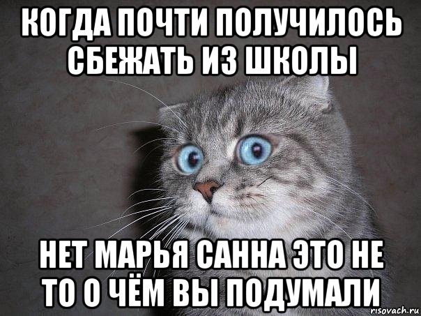 когда почти получилось сбежать из школы нет марья санна это не то о чём вы подумали, Мем  удивлённый кот