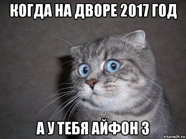 когда на дворе 2017 год а у тебя айфон 3, Мем  удивлённый кот