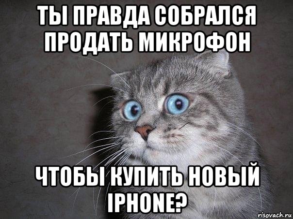 ты правда собрался продать микрофон чтобы купить новый iphone?, Мем  удивлённый кот