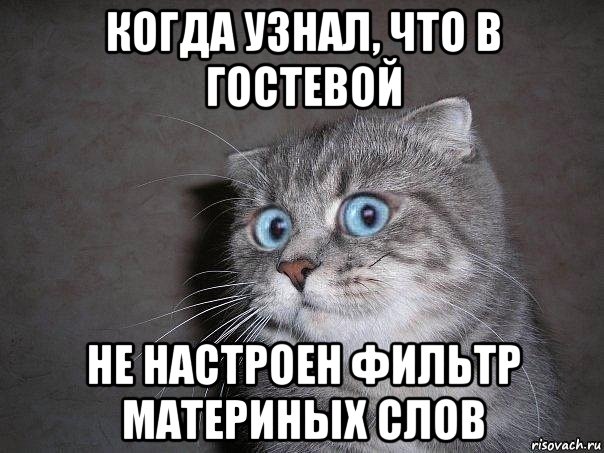 когда узнал, что в гостевой не настроен фильтр материных слов, Мем  удивлённый кот