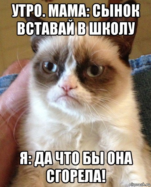 утро. мама: сынок вставай в школу я: да что бы она сгорела!, Мем Угрюмый кот