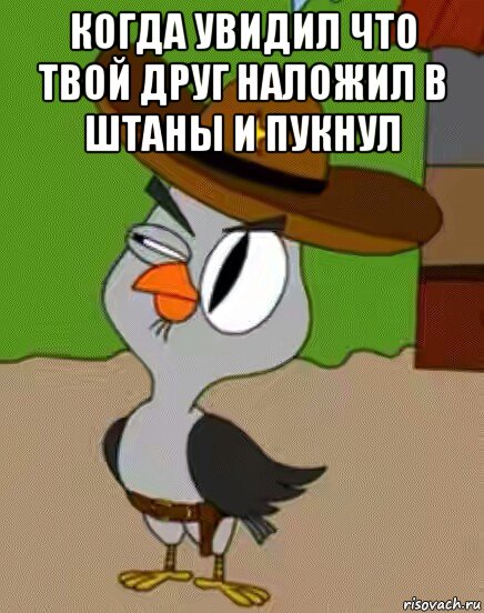 когда увидил что твой друг наложил в штаны и пукнул , Мем    Упоротая сова