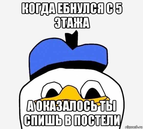 когда ебнулся с 5 этажа а оказалось ты спишь в постели, Мем Утка