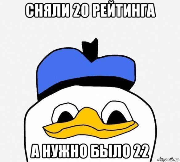 сняли 20 рейтинга а нужно было 22, Мем Утка