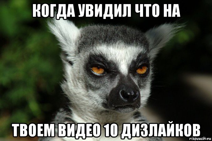 когда увидил что на твоем видео 10 дизлайков, Мем   Я збагоен