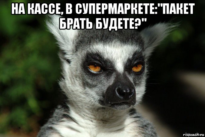 на кассе, в супермаркете:"пакет брать будете?" , Мем   Я збагоен