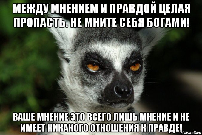 между мнением и правдой целая пропасть. не мните себя богами! ваше мнение это всего лишь мнение и не имеет никакого отношения к правде!, Мем   Я збагоен