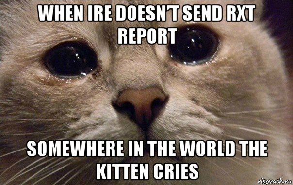 when ire doesn’t send rxt report somewhere in the world the kitten cries, Мем   В мире грустит один котик