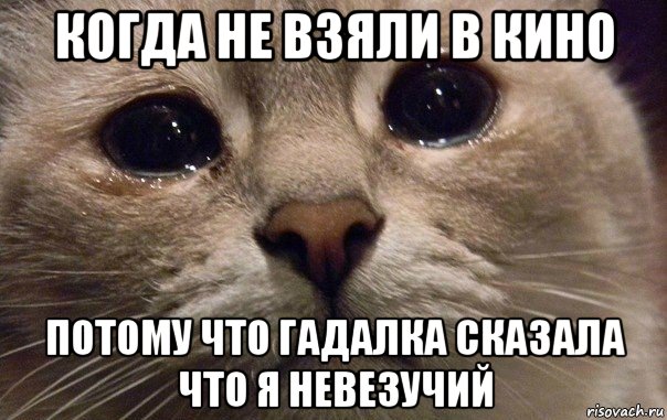 когда не взяли в кино потому что гадалка сказала что я невезучий, Мем   В мире грустит один котик