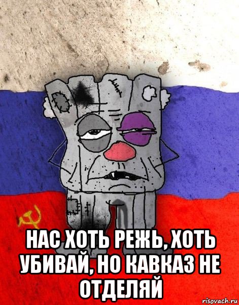  нас хоть режь, хоть убивай, но кавказ не отделяй, Мем Ватник