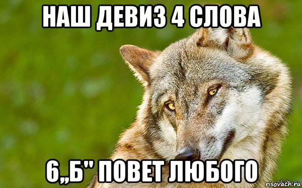 наш девиз 4 слова 6,,б'' повет любого, Мем   Volf