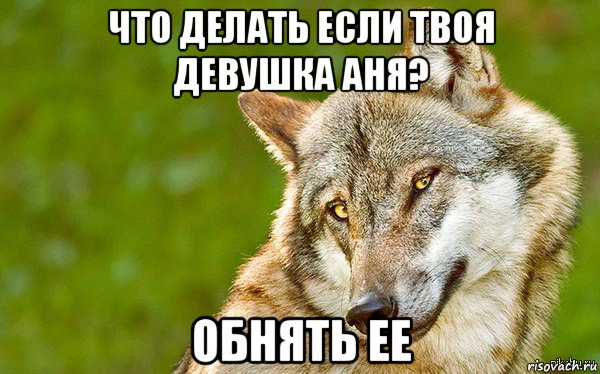 что делать если твоя девушка аня? обнять ее, Мем   Volf