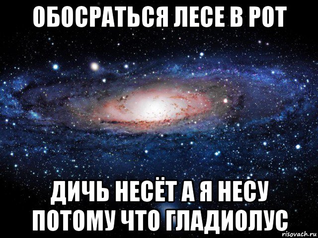 обосраться лесе в рот дичь несёт а я несу потому что гладиолус, Мем Вселенная