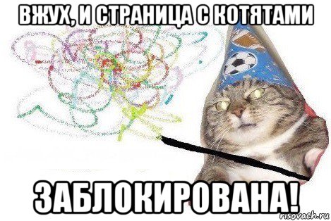 вжух, и страница с котятами заблокирована!, Мем Вжух мем