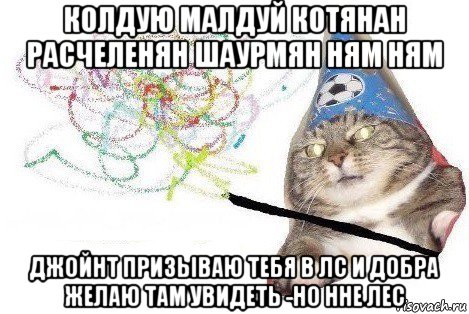 колдую малдуй котянан расчеленян шаурмян ням ням джойнт призываю тебя в лс и добра желаю там увидеть -но нне лес, Мем Вжух мем