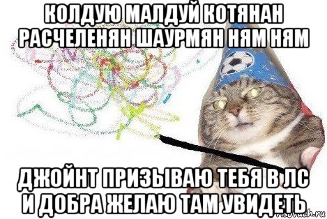 колдую малдуй котянан расчеленян шаурмян ням ням джойнт призываю тебя в лс и добра желаю там увидеть, Мем Вжух мем