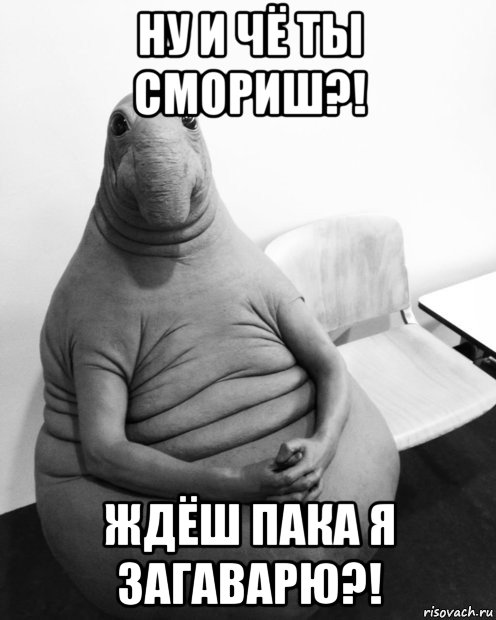 ну и чё ты смориш?! ждёш пака я загаварю?!, Мем  Ждун