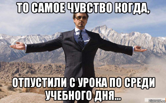 то самое чувство когда, отпустили с урока по среди учебного дня..., Мем железный человек