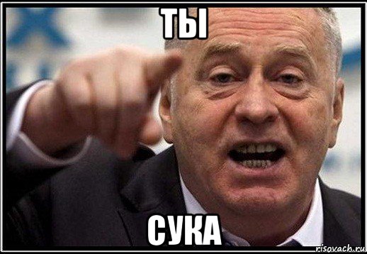 ты сука, Мем жириновский ты