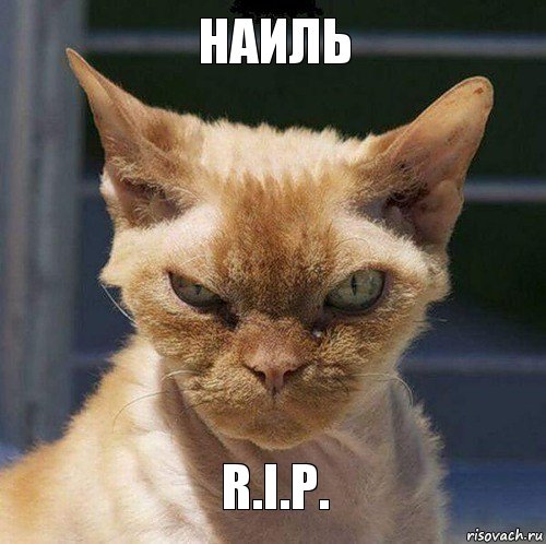 Наиль R.I.P.