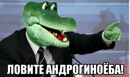  ловите андрогиноёба!