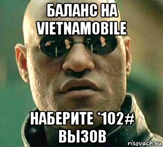 баланс на vietnamobile наберите *102# вызов