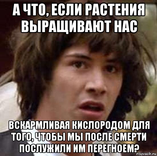 а что, если растения выращивают нас вскармливая кислородом для того, чтобы мы после смерти послужили им перегноем?, Мем А что если (Киану Ривз)