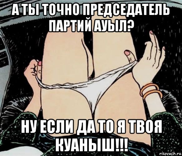 а ты точно председатель партий ауыл? ну если да то я твоя куаныш!!!, Мем А ты точно