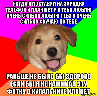 когда я поставил на зарядку телефон и планшет и я тебя люблю очень сильно люблю тебя и очень сильно скучаю по тебе раньше не было бы здорово если бы я не нажимал эту фотку в купальнике или нет, Мем Advice Dog