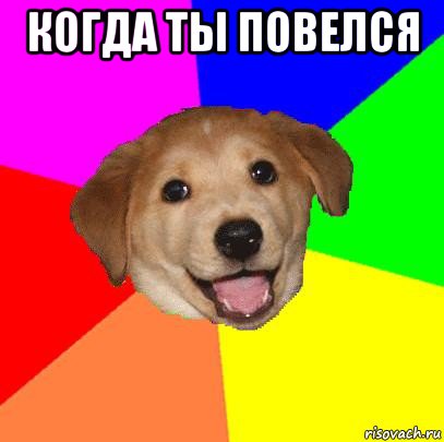 когда ты повелся , Мем Advice Dog