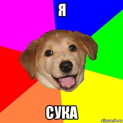 я сука, Мем Advice Dog