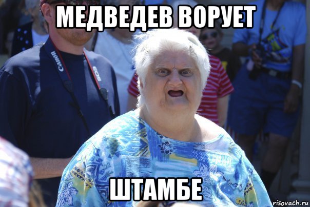 медведев ворует штамбе