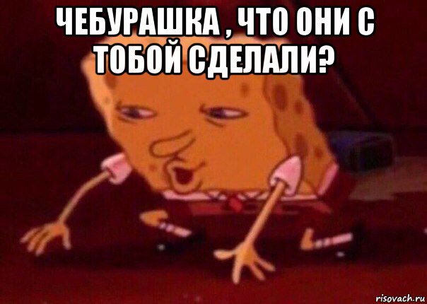 чебурашка , что они с тобой сделали? , Мем    Bettingmemes