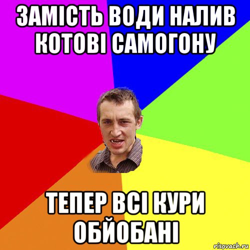 замість води налив котові самогону тепер всі кури обйобані, Мем Чоткий паца