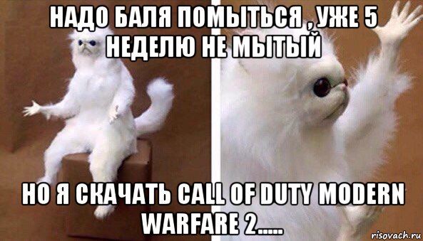 надо баля помыться , уже 5 неделю не мытый но я скачать call of duty modern warfare 2....., Мем Чучело кота