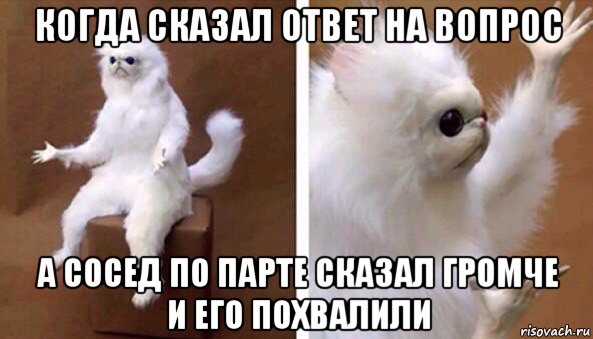 когда сказал ответ на вопрос а сосед по парте сказал громче и его похвалили, Мем Чучело кота