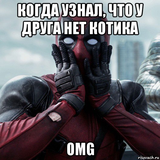 когда узнал, что у друга нет котика omg, Мем     Дэдпул