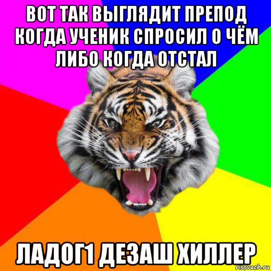 вот так выглядит препод когда ученик спросил о чём либо когда отстал ладог1 дезаш хиллер, Мем  ДЕРЗКИЙ ТИГР