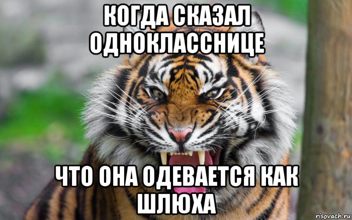 когда сказал однокласснице что она одевается как шлюха