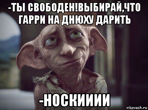 -ты свободен!выбирай,что гарри на днюху дарить -носкииии, Мем    Добби свободен