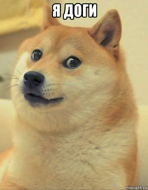 я доги , Мем doge woof