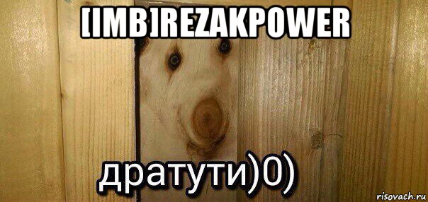 [imb]rezakpower , Мем  Дратути